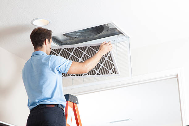 Best HVAC Air Duct Cleaning  in Homestead Meadows South, TX